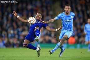 开云体育娱乐app-波黑遭遇意外失利，晋级前景难测()